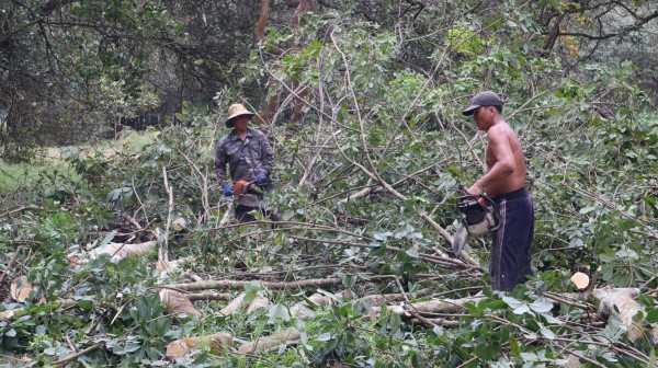 Doanh nghiệp dự án cao tốc Gia Nghĩa - Chơn Thành xin chuyển từ BOT sang BT