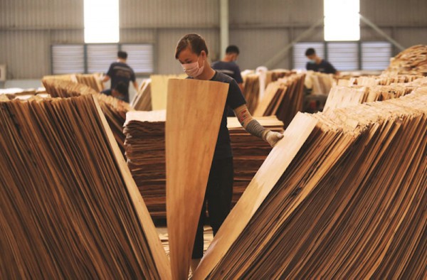 Doanh nghiệp gỗ Việt tăng tốc đáp ứng “luật chơi” mới từ EU