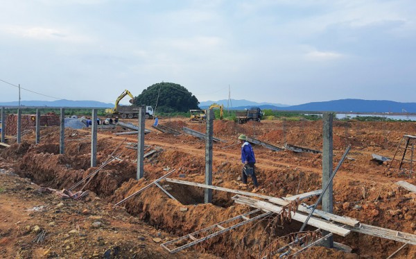 Doanh nghiệp nông nghiệp Quảng Ninh sẵn sàng vượt COVID Doanh nghiệp nông nghiệp Quảng Ninh sẵn sàng vượt COVID