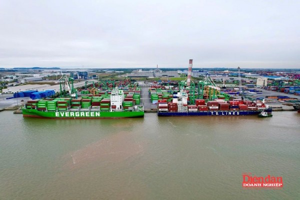 Doanh nghiệp vận tải Hải Phòng trước "cơn lốc" giá dầu