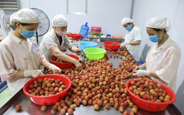 Gia tăng giá trị xuất khẩu nông sản Việt vào Australia