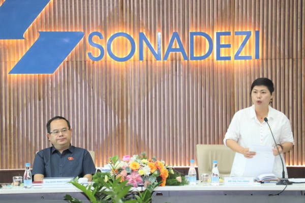 Giám sát hoạt động sản xuất kinh doanh, bảo toàn và phát triển vốn tại Sonadezi