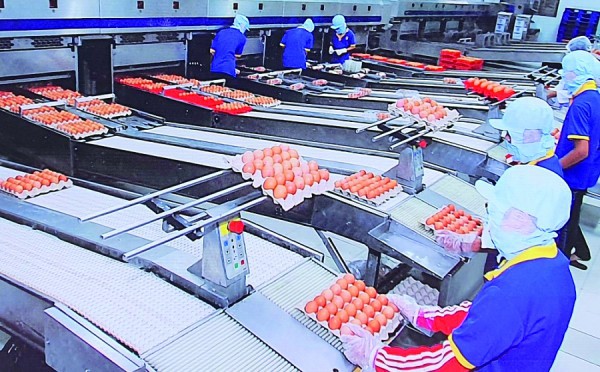 Giữ lửa kinh doanh Giữ lửa kinh doanh