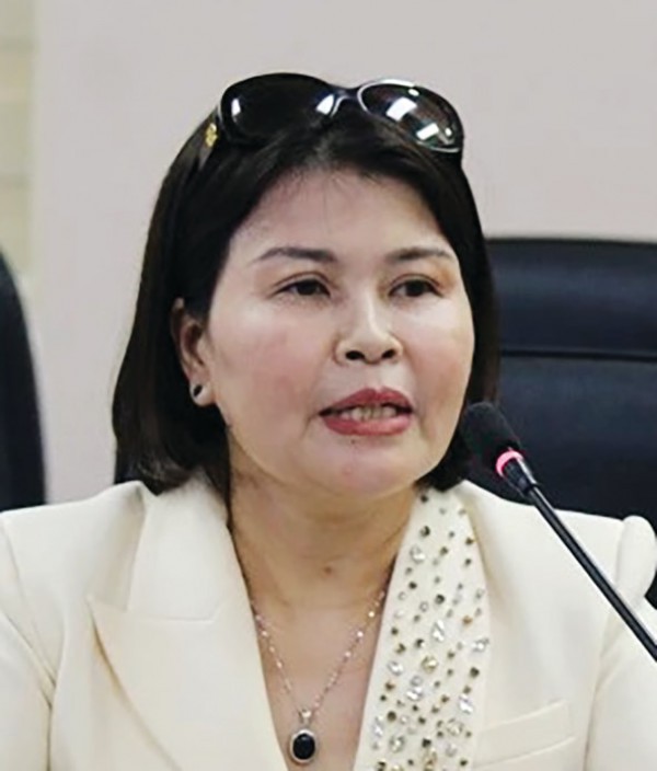 Hỗ trợ thúc đẩy phê duyệt nguồn ngân sách JETP