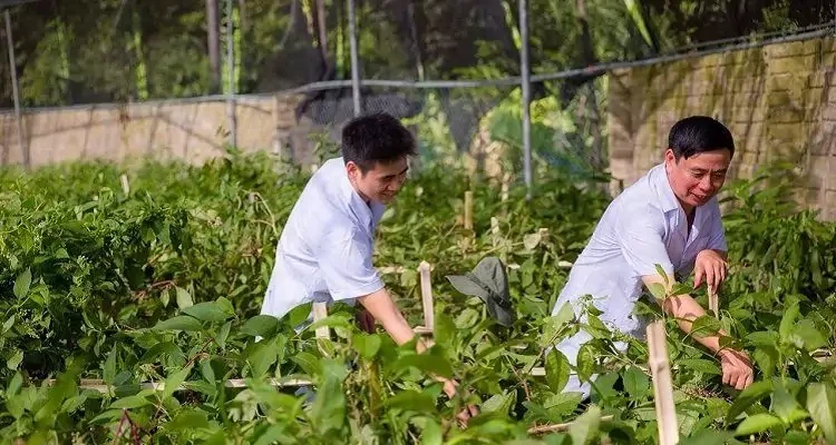 Kết nối cung – cầu công nghệ với doanh nghiệp