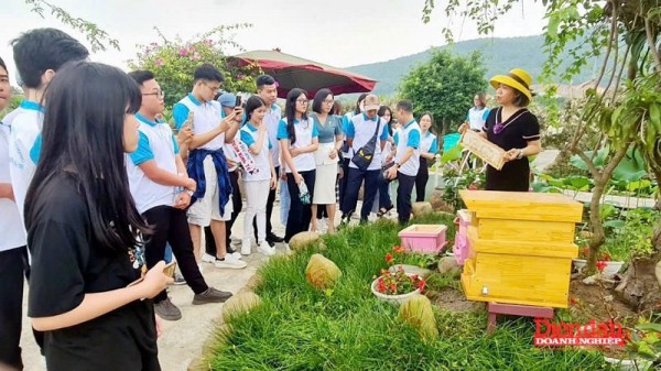 Khát vọng làm giàu từ nuôi ong