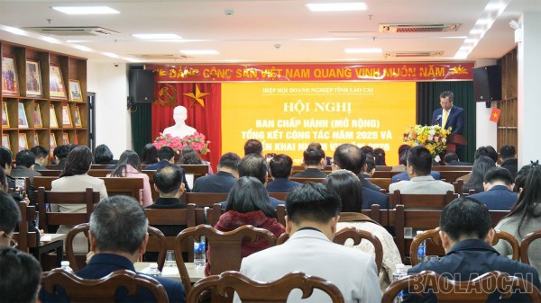 Lào Cai: Thu hút doanh nhân trẻ, startup tạo sức mạnh tổng hợp