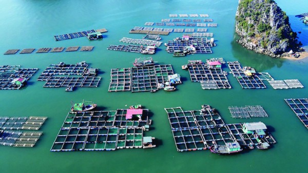 Mở đường hút doanh nghiệp tư nhân đầu tư vào kinh tế biển