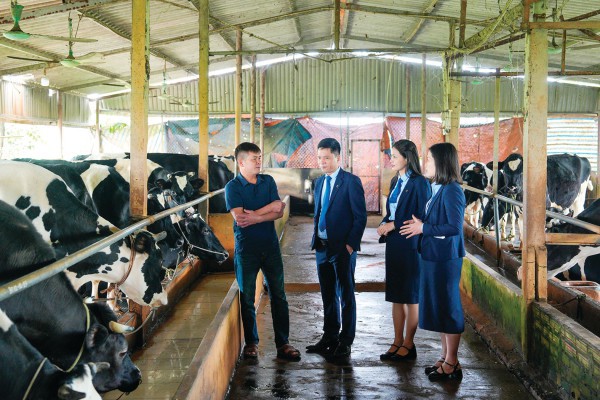 Mở tín dụng xanh cho nông nghiệp số