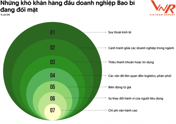 Ngành Bao bì Viêt Nam tận dụng tiềm năng xuất khẩu vào thị trường khó tính