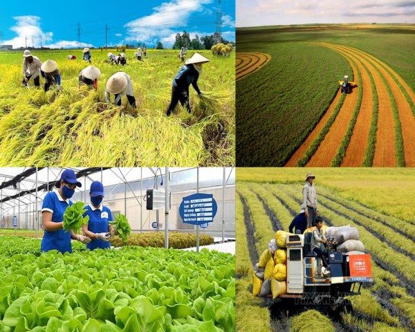 Nghị quyết số 68-NQ/TW: Giải phóng sức sản xuất của doanh nghiệp SME
