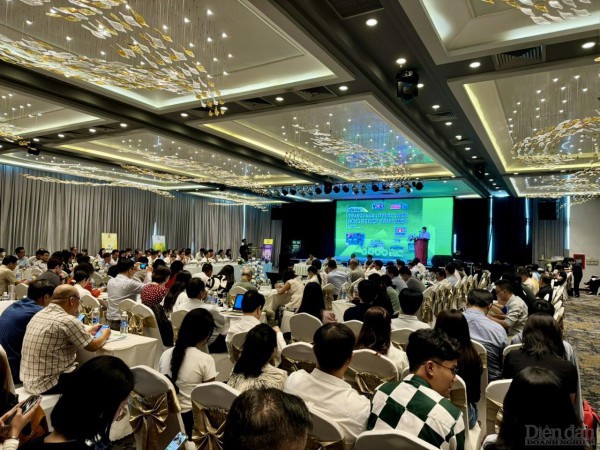 Ninh Thuận: Ưu tiên nhà đầu tư ”xanh”