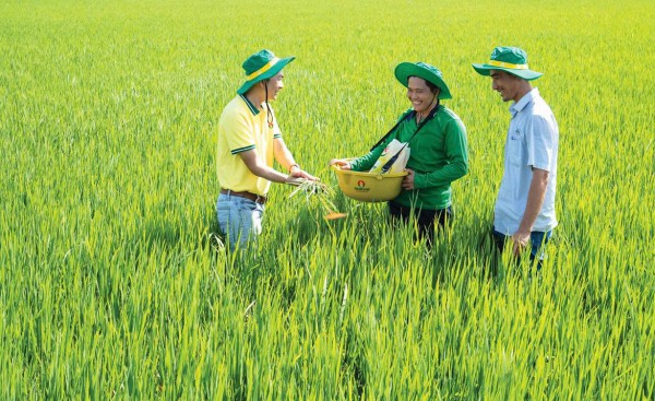 PVCFC khẳng định đẳng cấp quản trị ASEAN - vinh danh Top 5 doanh nghiệp niêm yết Việt Nam