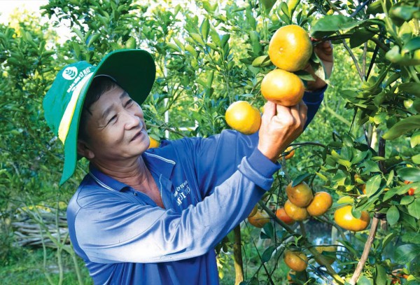 PVCFC khẳng định đẳng cấp quản trị ASEAN - vinh danh Top 5 doanh nghiệp niêm yết Việt Nam
