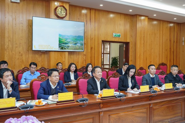 Tập đoàn T&T Group đề xuất nghiên cứu đầu tư nhiều dự án trọng điểm tại Lâm Đồng