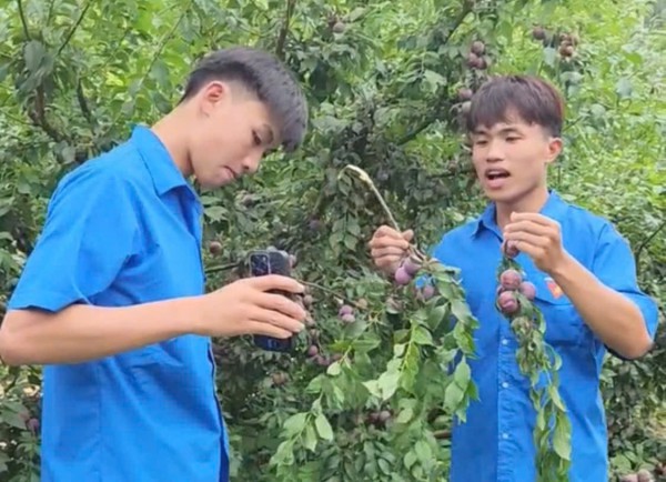 Thương mại điện tử phá bỏ hiệu ứng “tàng hình” trên không gian số
