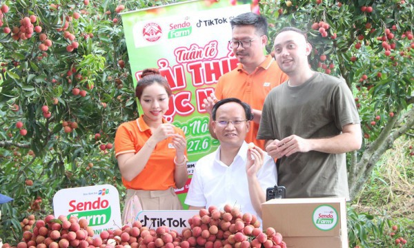 Thương mại điện tử phá bỏ hiệu ứng “tàng hình” trên không gian số