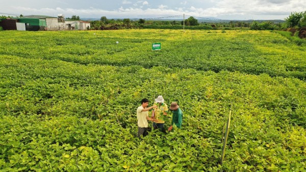 VINASOY được vinh danh "doanh nghiệp tiên phong trong quản lý tài nguyên bền vững"