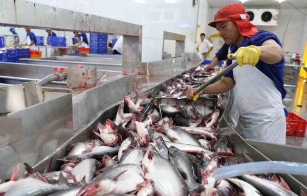 Xuất khẩu nông sản 6 tháng cuối năm sẽ ra sao?
