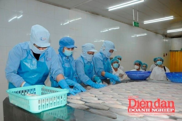 Xuất khẩu thủy sản 2026: Cơ hội và áp lực trong chặng nước rút