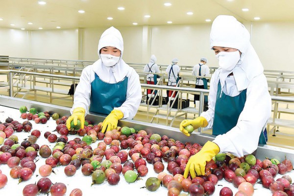 "Điểm sáng" nông lâm thuỷ sản tiếp đà tăng trưởng năm 2025