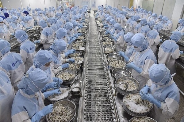 Đưa ngành thuỷ sản trở lại "quỹ đạo xanh”