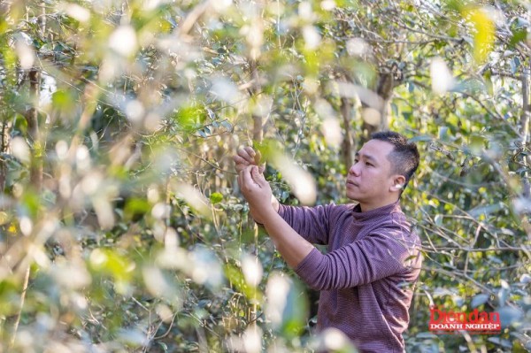 Đưa sản vật quê hương vươn xa