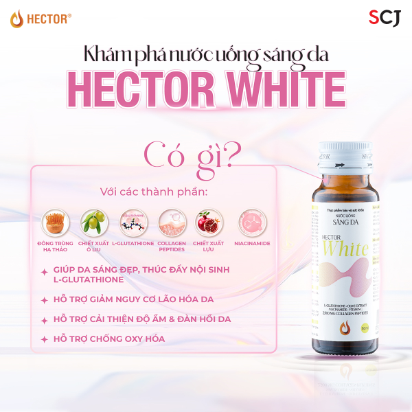 SCJ ra mắt sản phẩm mới từ thương hiệu Hector, giải pháp cho người bận rộn muốn khỏe đẹp