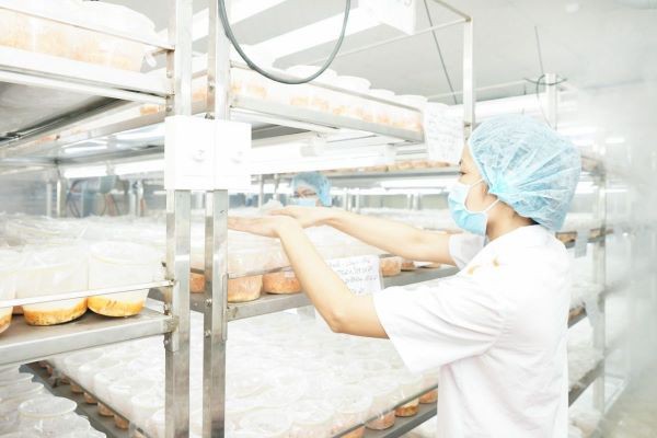 SCJ ra mắt sản phẩm mới từ thương hiệu Hector, giải pháp cho người bận rộn muốn khỏe đẹp
