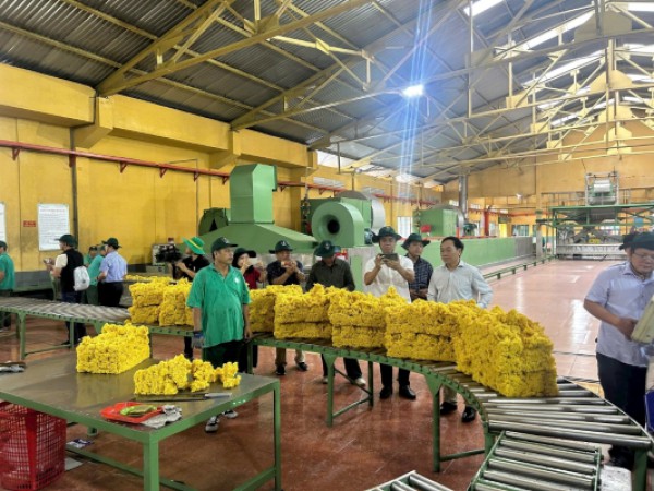 Sáng mãi truyền thống Cao su Đồng Nai anh hùng