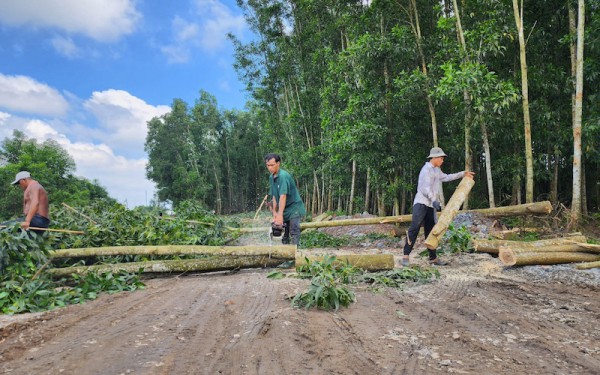 Cao tốc Biên Hoà – Vũng Tàu: Vì sao cả 3 dự án thành phần đều vướng mặt bằng? Cao tốc Biên Hoà – Vũng Tàu: Vì sao cả 3 dự án thành phần đều vướng mặt bằng?