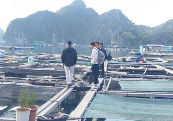 Chuyển dịch chiến lược ra biển mở bằng hạ tầng công nghiệp công nghệ cao