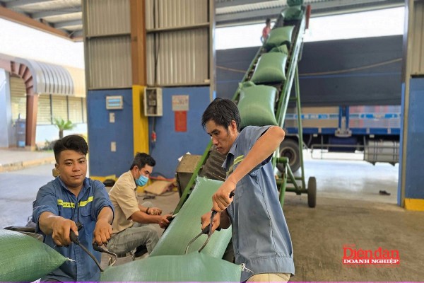 Gia Lai bàn giải pháp để có 65.000 doanh nghiệp vào năm 2030