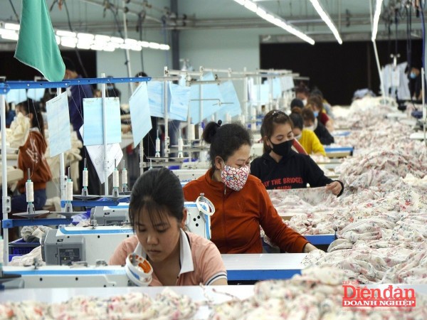 Gia Lai hỗ trợ doanh nghiệp bằng giải pháp cụ thể