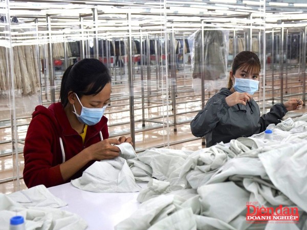 Gia Lai làm gì để hỗ trợ doanh nghiệp xuất khẩu?