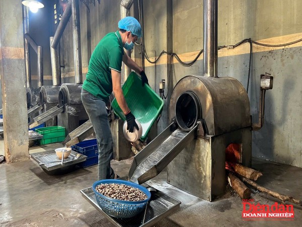 Gia Lai lên kế hoạch cải thiện môi trường đầu tư, kinh doanh