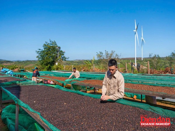 Gia Lai tìm “trợ lực” cho ngành công nghiệp chế biến