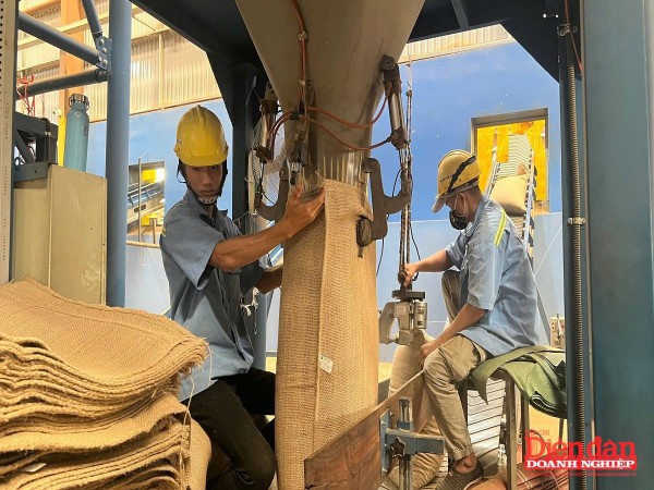 Gia Lai tìm “trợ lực” cho ngành công nghiệp chế biến
