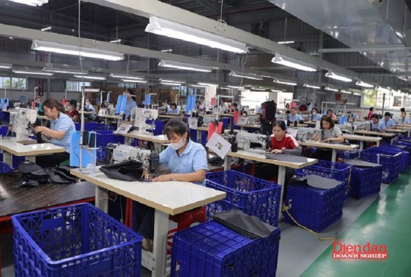 Hải Phòng: Kích hoạt "đòn bẩy" đặc thù, đưa kinh tế tư nhân thành động lực tăng trưởng hạt nhân