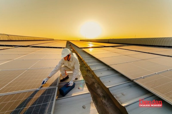 Hải Phòng đẩy nhanh tiến trình xanh hóa cho doanh nghiệp