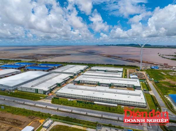 Hải Phòng: Đề xuất thí điểm sàn giao dịch tín chỉ carbon