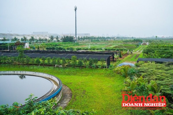 Hải Phòng: Đề xuất thí điểm sàn giao dịch tín chỉ carbon
