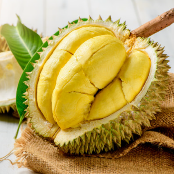 Hải Phòng sẵn sàng kết nối tiêu thụ sầu riêng cho Cần Thơ