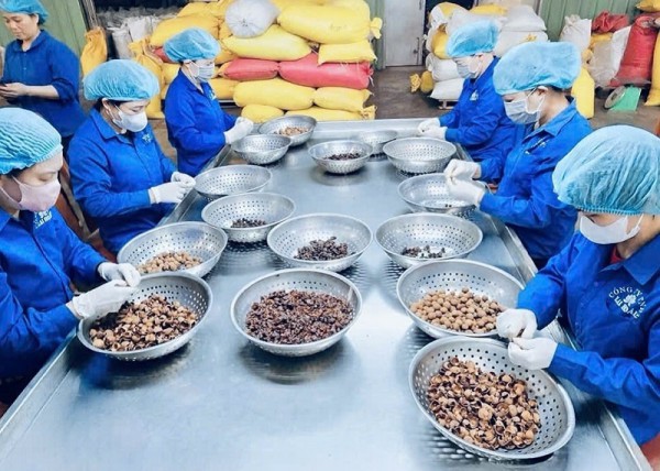 Hải quan - Doanh nghiệp: Khơi thông dòng chảy 6,5 tỷ USD qua Hưng Yên