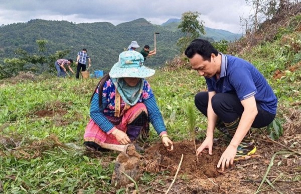 Huyện Nậm Pồ (Điện Biên) tập trung phát triển kinh tế nông nghiệp