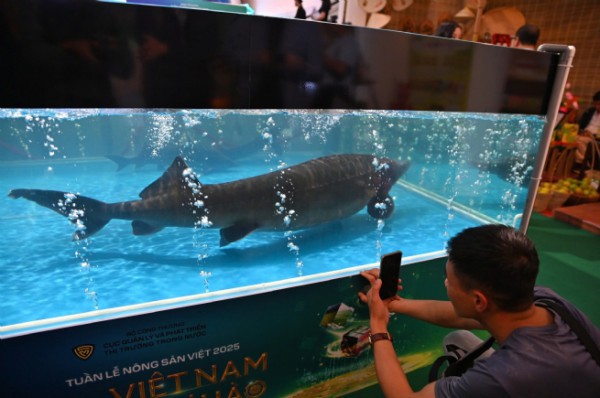 Khai mạc Tuần lễ Nông sản Việt 2025: Thúc đẩy tiêu thụ hàng Việt, ra mắt Bản đồ Nông sản số