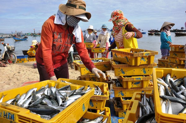 Kinh tế biển: Thúc đẩy phát triển kinh tế thích ứng với giảm nhẹ thiên tai