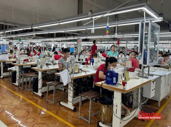 Kinh tế tư nhân Ninh Bình: Từ "vệ tinh" đến vị thế "xương sống" nền kinh tế