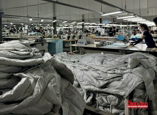 Kinh tế tư nhân Ninh Bình: Từ "vệ tinh" đến vị thế "xương sống" nền kinh tế