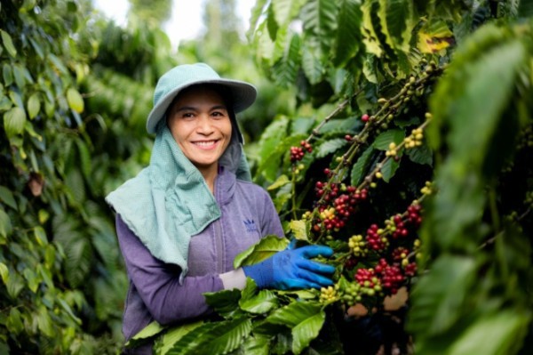 Kinh tế tuần hoàn là động lực chuyển đổi xanh